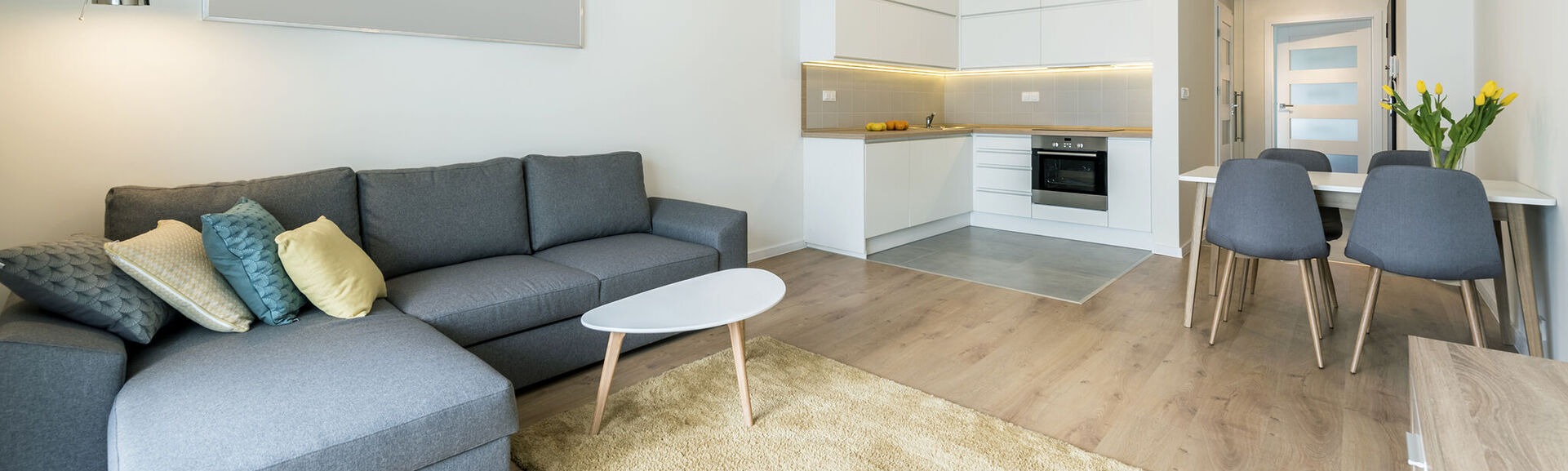 Modern living room and kitchen in small apartment