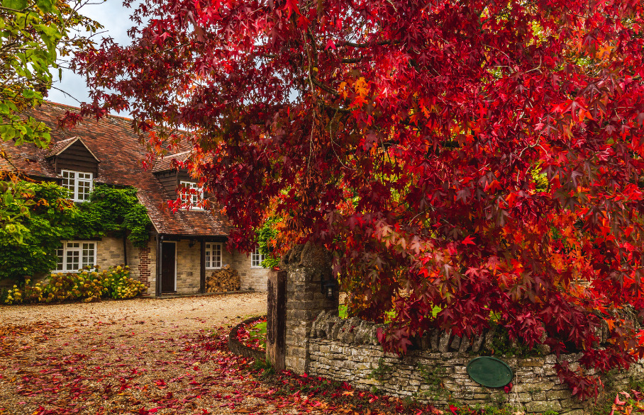 Increase your kerb appeal this autumn
