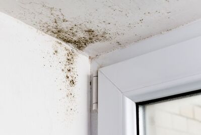 What is Awaab's Law? A guide for private landlords 