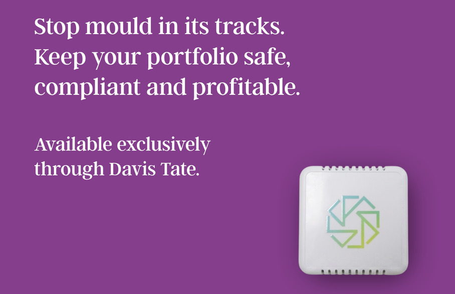 How landlords can prevent damp and mould: Introducing our new mould protection service