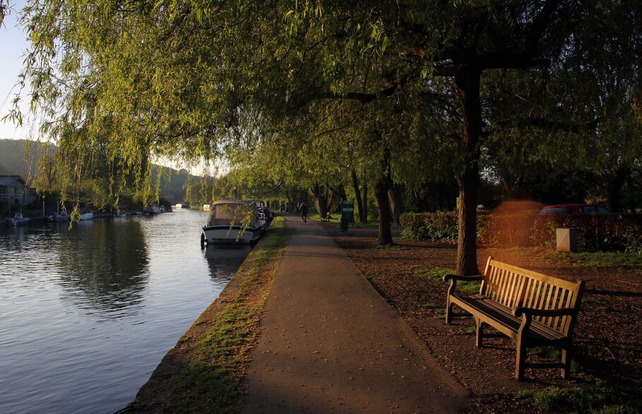 Sun-loungers on leafy riverside decking