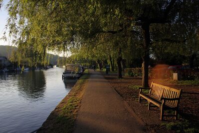 Sun-loungers on leafy riverside decking