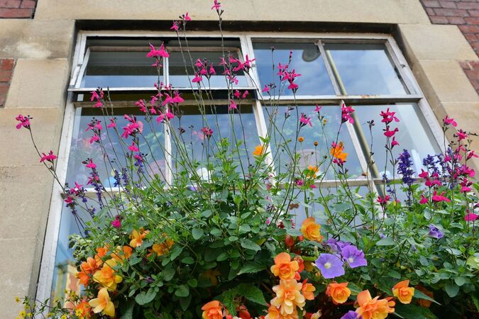 Why spring is a good time to move