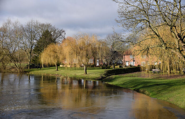 The bank of the river Thames in Sonning Common