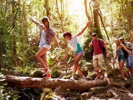 Group of adults walking in a wood