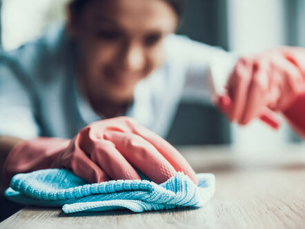 Young Smiling Woman in Gloves Cleaning House.