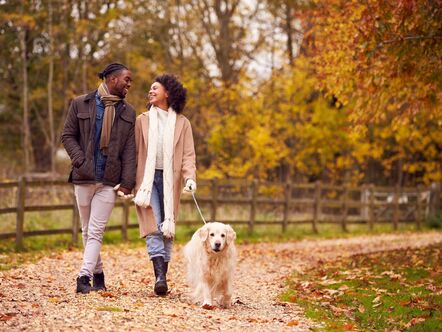 Couple walking with a dog in Autumn